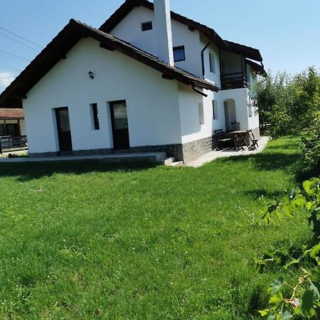 Pensiunea Alina Baia de Fier Zewnętrze zdjęcie