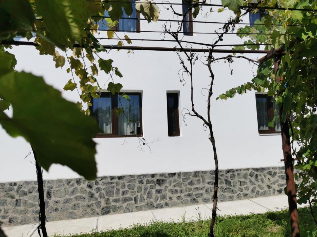 Pensiunea Alina Baia de Fier Zewnętrze zdjęcie