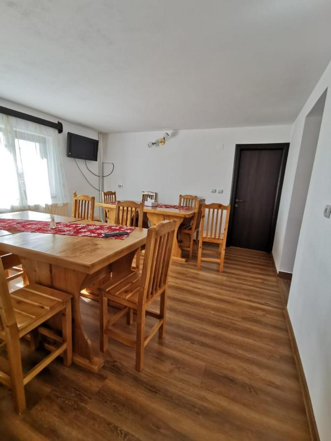 Pensiunea Alina Baia de Fier Zewnętrze zdjęcie
