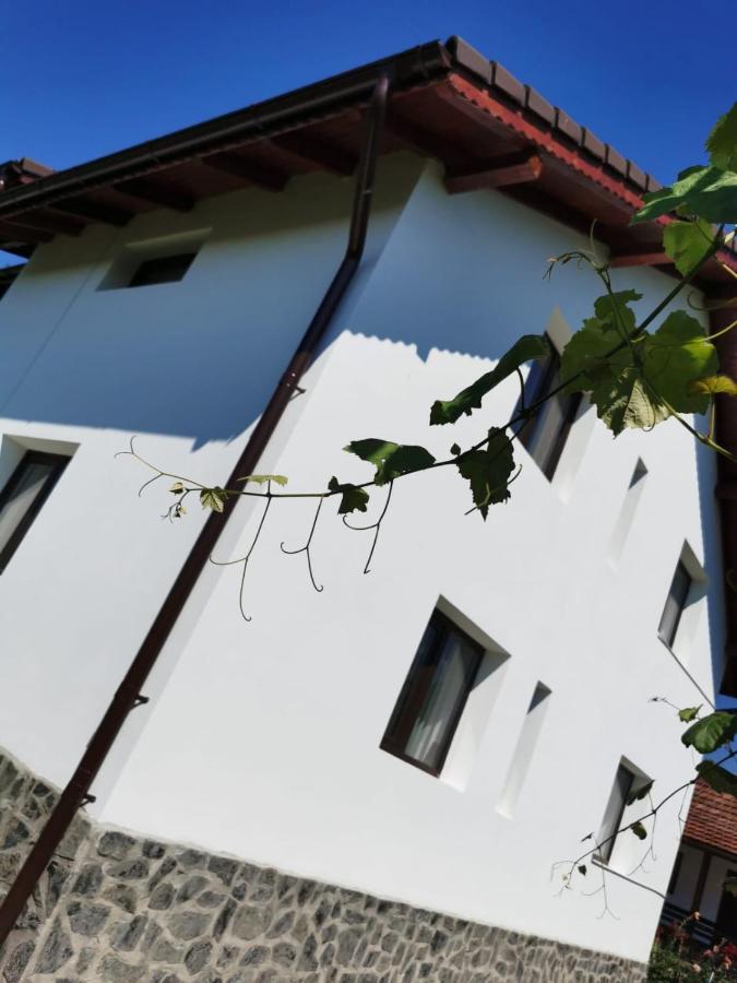 Pensiunea Alina Baia de Fier Zewnętrze zdjęcie