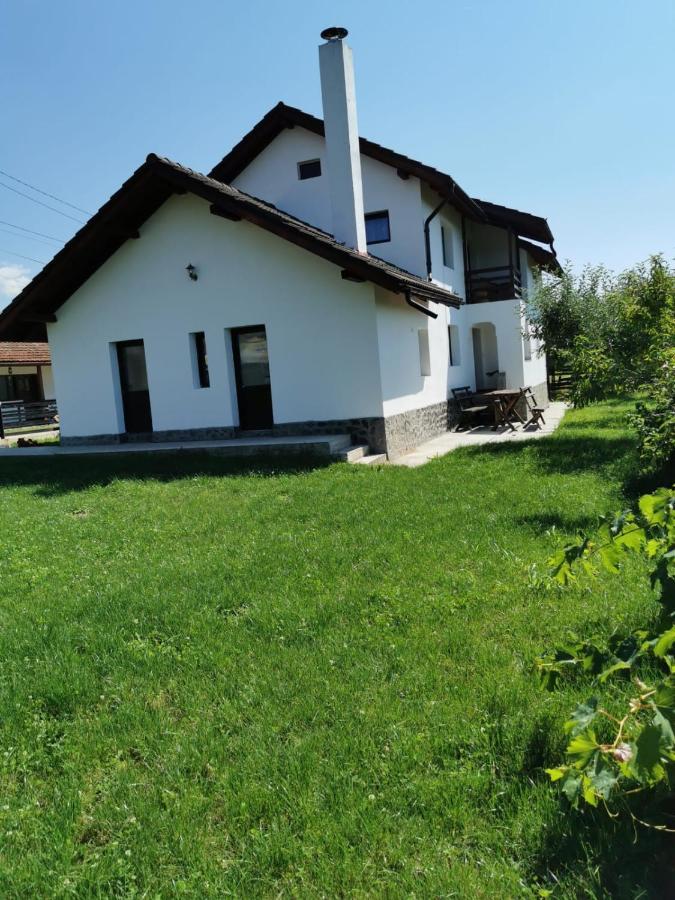 Pensiunea Alina Baia de Fier Zewnętrze zdjęcie