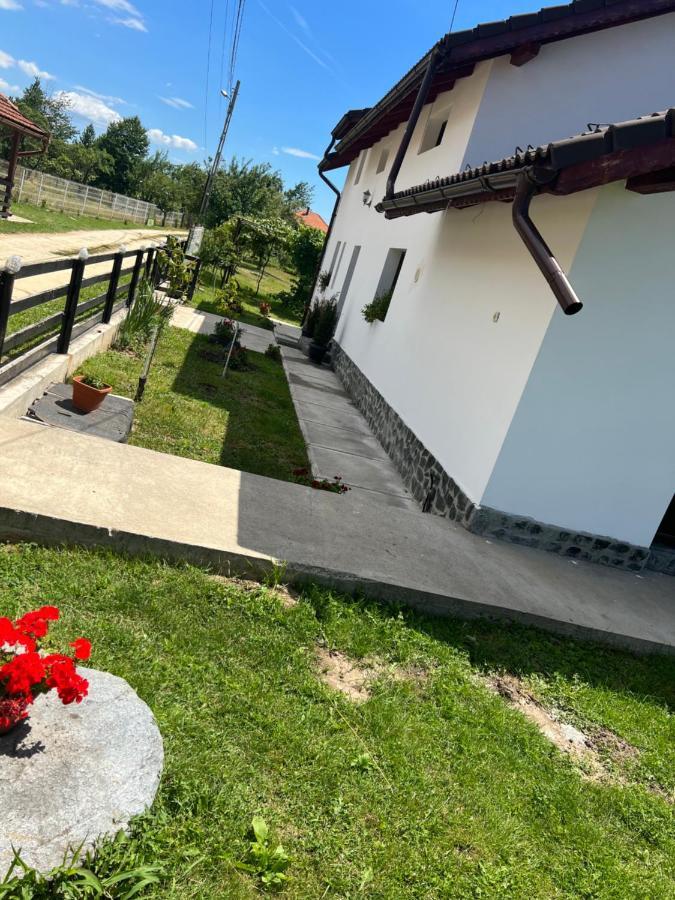Pensiunea Alina Baia de Fier Zewnętrze zdjęcie
