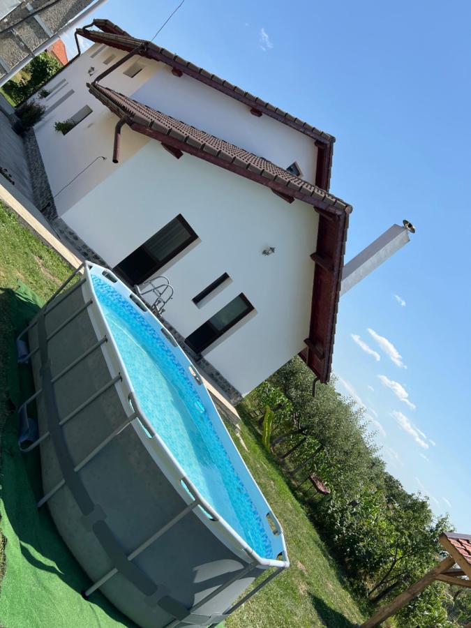 Pensiunea Alina Baia de Fier Zewnętrze zdjęcie