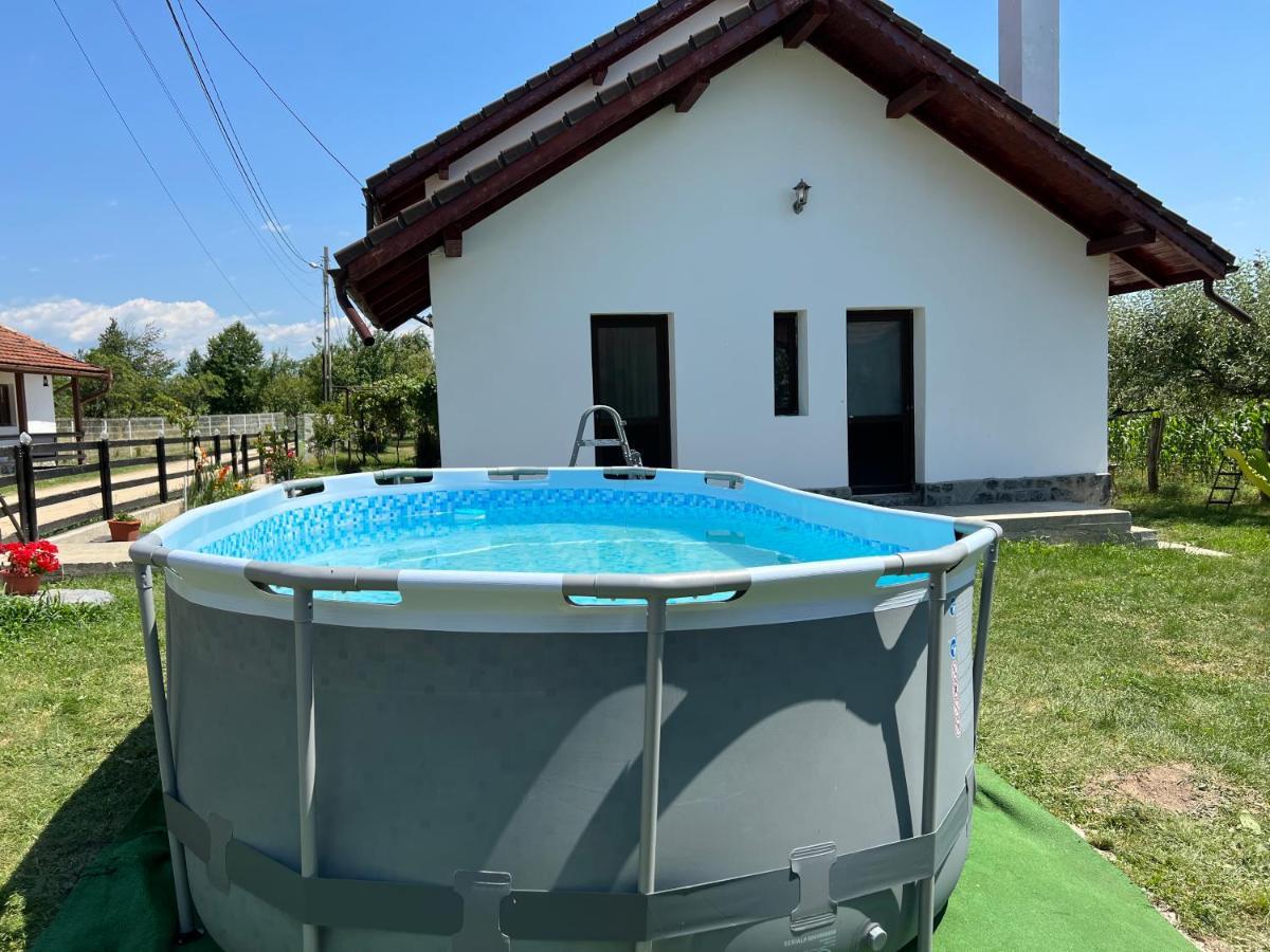 Pensiunea Alina Baia de Fier Zewnętrze zdjęcie